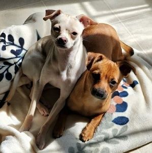 Meet your Posher, Tracy